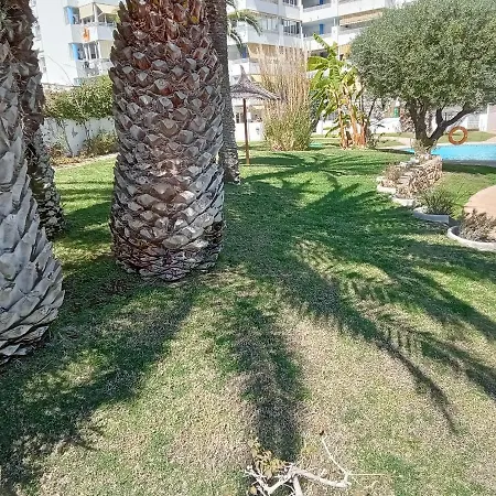 Apartamento La Nina, La Playa Paraiso A 100 Mts. Villajoyosa  Exterior foto