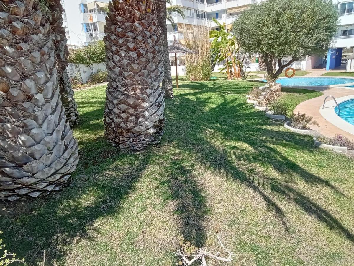 Apartment La Nina, La Playa Paraiso A 100 Mts. Villajoyosa